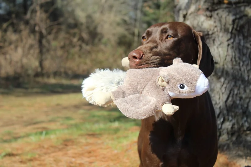 Tall Tails Dog Toy-Fly Squirrel : 12"