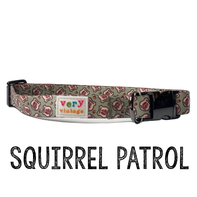 Very Vintage Designs - Squirrel Patrol - Green Squirrel Recycled Collar & Leash