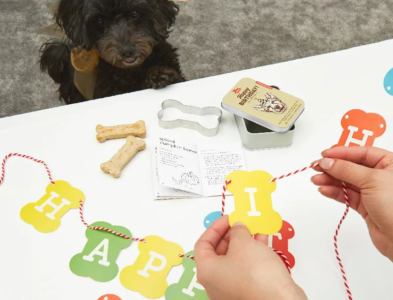 Kikkerland Design Inc - Dog Birthday Kit