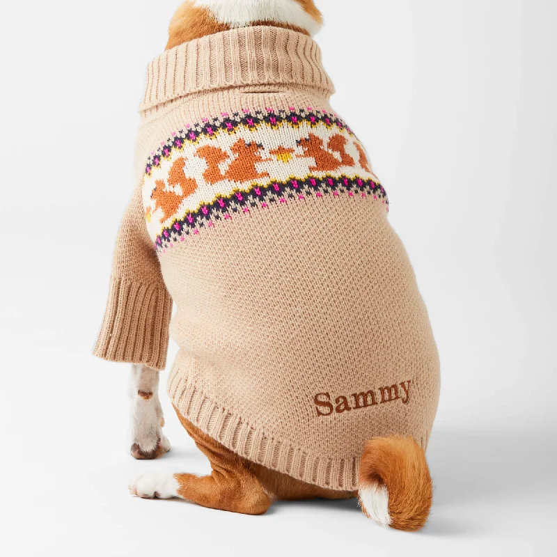 Squirrel Dog Sweater