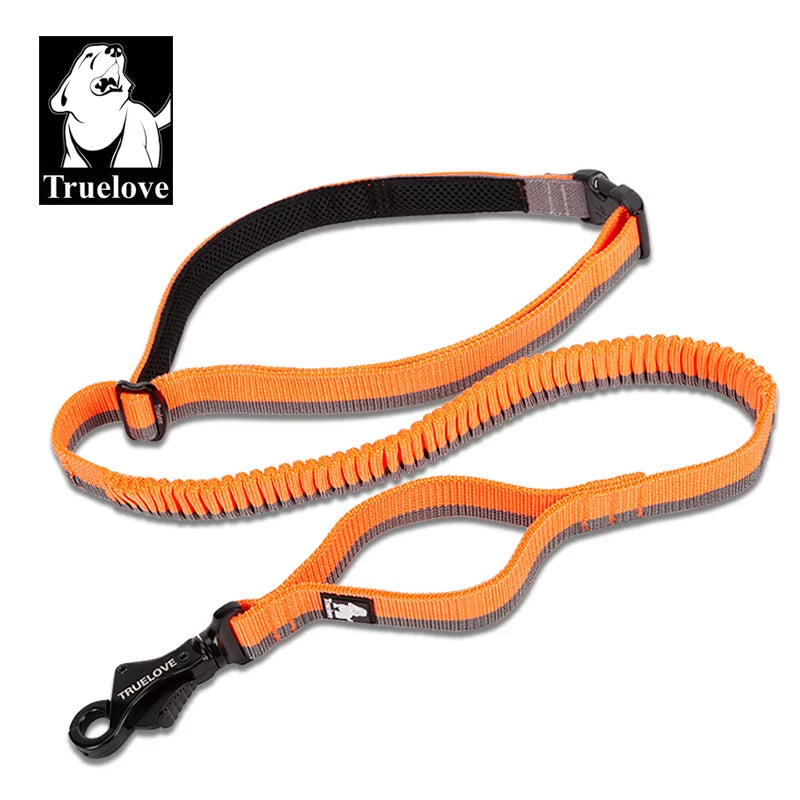 Truelove Nylon Bungee Dog Leash TLL2271