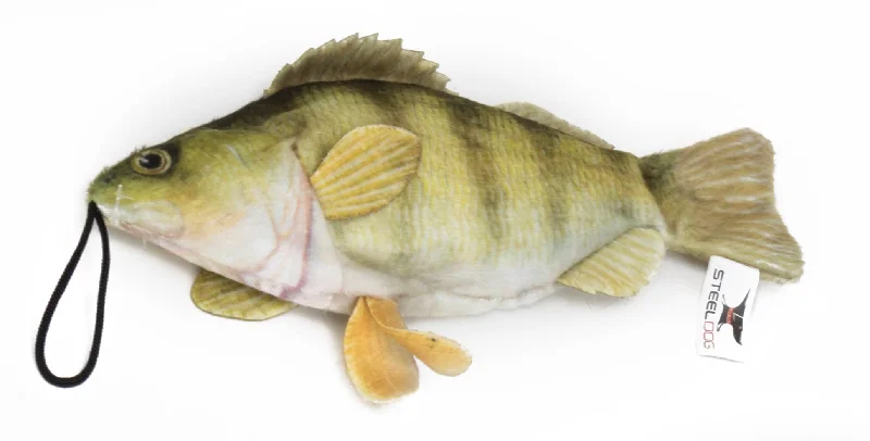 Freshwater Perch