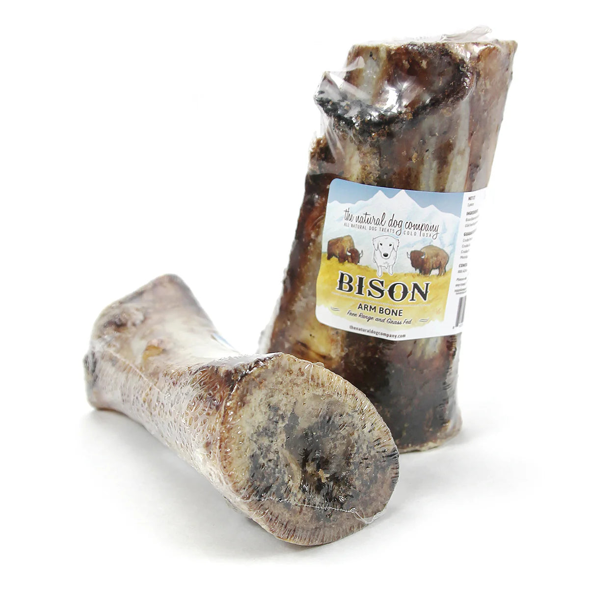 Bison Arm Bone