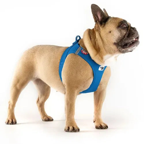 Curli Air Mesh Clasp Vest Harness Ultra lightweight in many colors