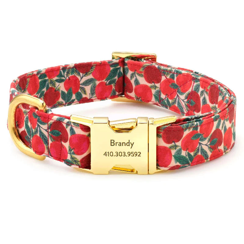 Apple of My Eye Dog Collar