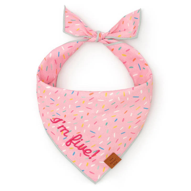 Sprinkles Dog Bandana