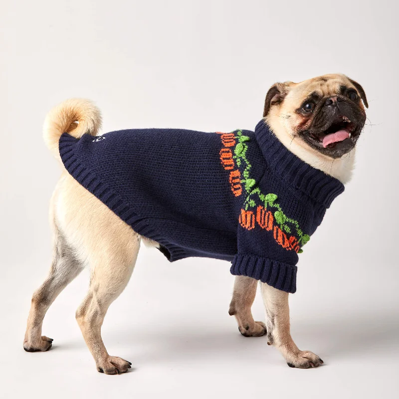 Pumpkin Patch Dog Sweater