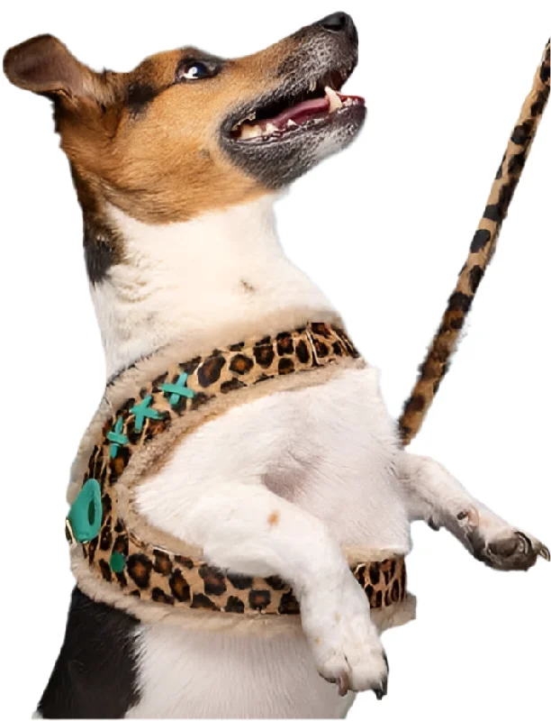 Dog With A Mission - Leopard Print Dog Harness with Fleece lining.  Easy step in design