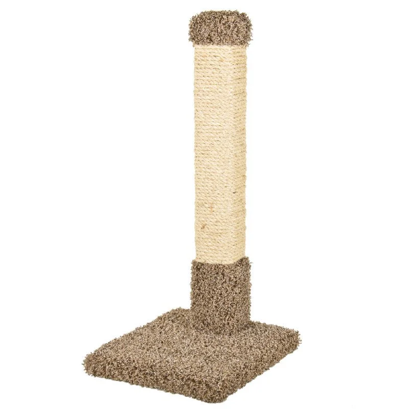 Ware Kitty Cactus With Sisal