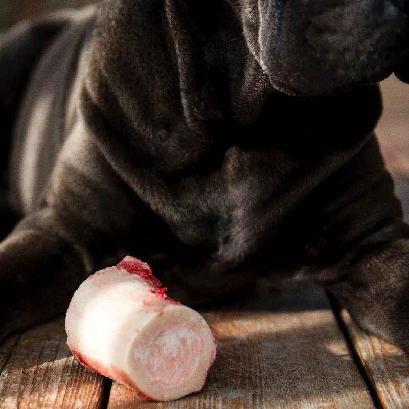 Bison Marrow Bones for Dogs