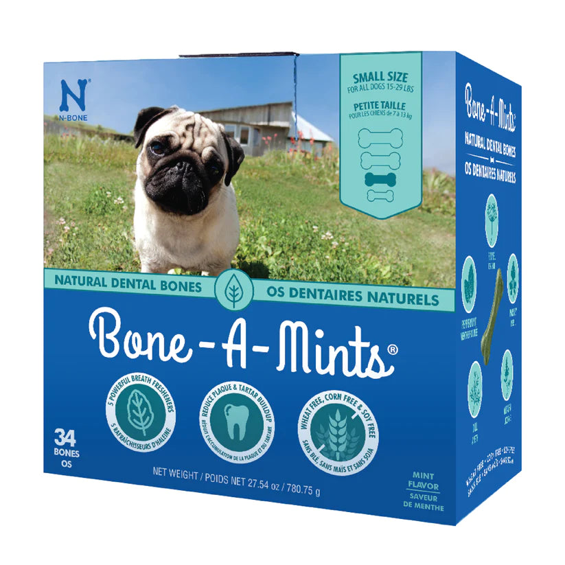 N-Bone Bone-A-Mint Bulk Boxes