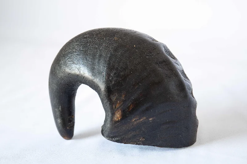 Hollow Buffalo Horns