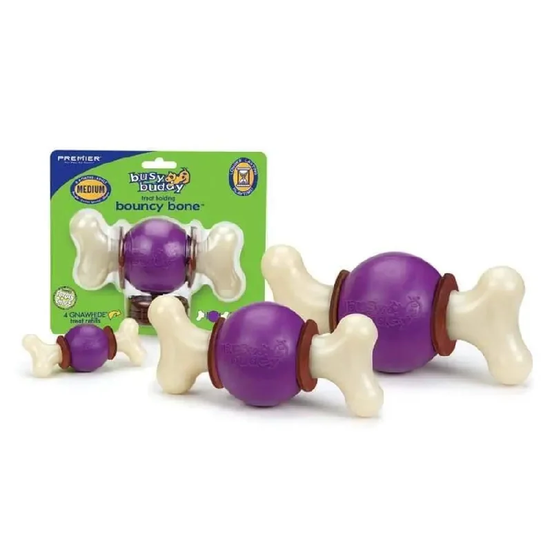 Busy Buddy Bouncy Bone Dog Chew Multi-Color