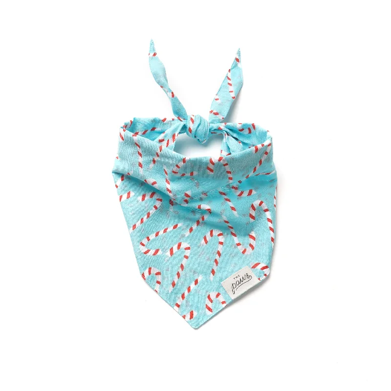 Candyland Blue Christmas Dog Bandana