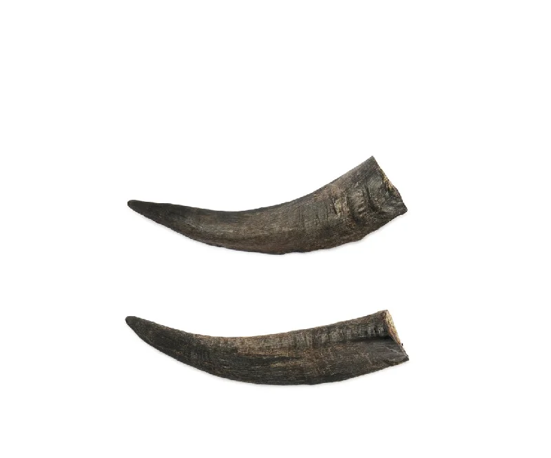 Small Goat Horn