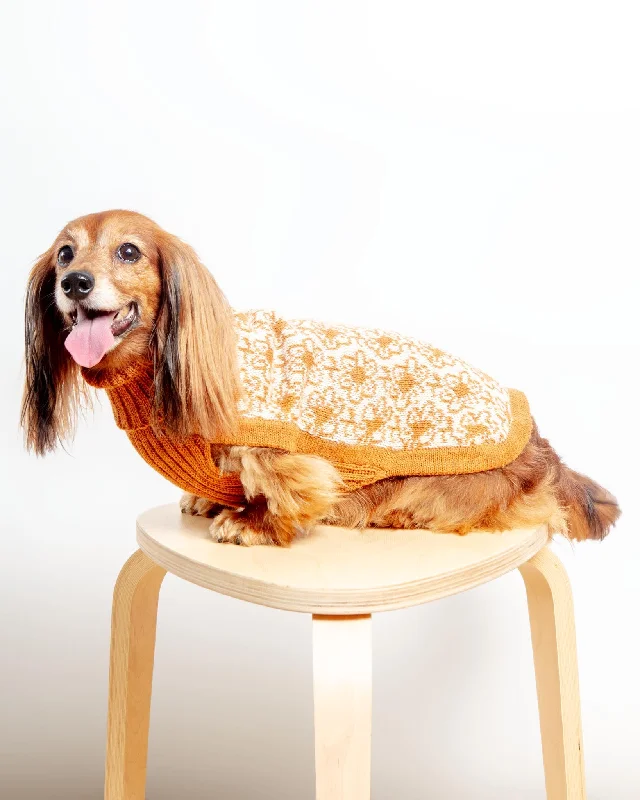 Buttercup Alpaca Dog Sweater (FINAL SALE)