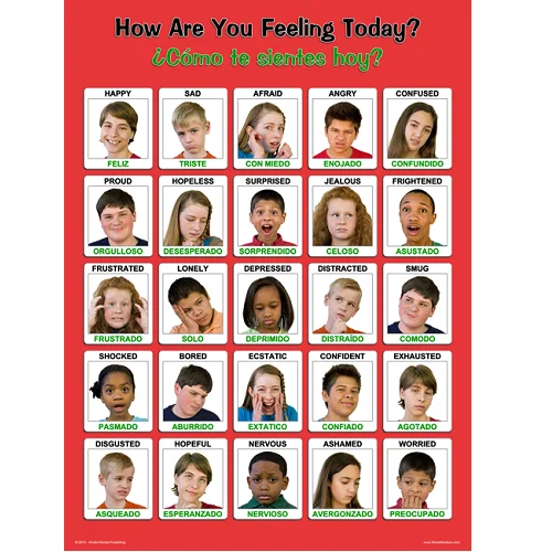 Laminated Spanish / English Youth Feelings Poster 18 x 24 inches