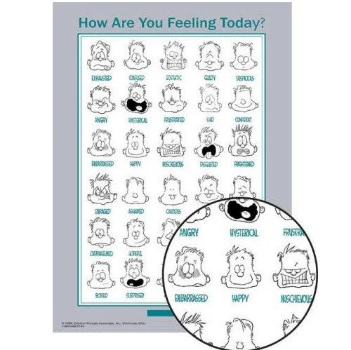 Mini Feelings Poster - English Laminated