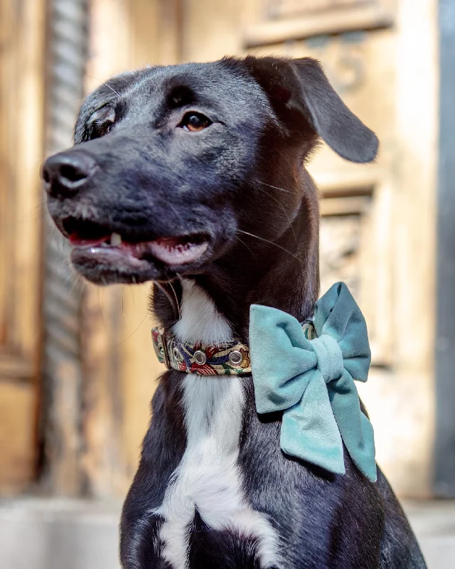 Sage Velvet Lady Dog Bow (Made in the USA)