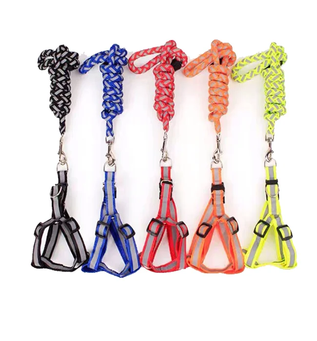 Reflectorized Strong diamond leash