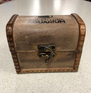 Wooden Treasure Chest